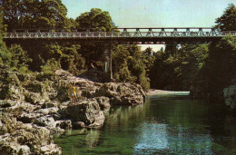 CPM - MARLBOROUGH - Pelorous Bridge .... Edition Whitcombe & Tombs Ltd - Nieuw-Zeeland