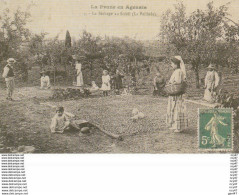 CPA REPRODUCTION (47)  La Prune En Agenais. Le Séchage Au Soleil (la Paillade). ..D479 - Otros & Sin Clasificación