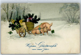 50860405 - Schwein Zieht Wagen, Neujahr - Pigs