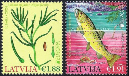 Latvia Lettland Lettonie 2024 (07) Europa - Underwater Flora And Fauna - Fish - Trout - Lettonie