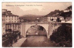 Cartolina - Castelnuovo Garfagnana - Ponte Della Via Nazionale - Lucca. - Lucca