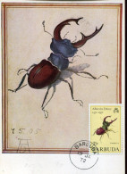 X223 Barbuda, Maximum 1972, Painting Of Albrecht Durer Der Hirschkafer Stag Beetle Cerf Volant - Sonstige & Ohne Zuordnung