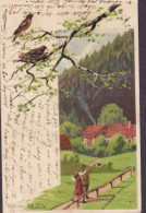 Sweden PPC Alfred Mailick : Bird Vogel Oiseau SÖDRA ÅBY Trelleborg 1904 TOMELILLA Simple Backside Oskar II. (2 Scans) - Birds