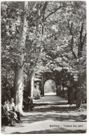 Buziaș Health Resort - View Of The Park - Roemenië