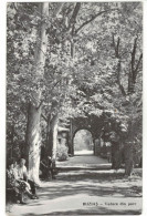 Buziaș Health Resort - View Of The Park - Rumänien