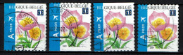 België OBP 3872 - Bloemen, Fleurs, Tulipa Bakari, Prior Europe - Gebruikt