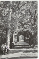 Buziaș Health Resort - View Of The Park - Rumania