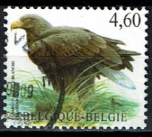 België OBP 3871 - Vogel, Oiseaux, Zeearend, Pyrargue à Queue Blanche - Gebruikt