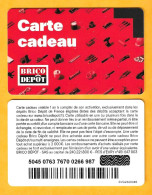 Carte Cadeau BRICO DEPÔT - - Gift Cards