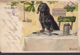 Reichspost UPU PPC Alfred Mailick 'Ob Ichs Wage?' Dog Hund Hond Chien Cane Perro Cão FLENSBURG 1902 VEILE (Arr.) Denmark - Chiens