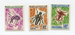 T. A. A. F. N°40 / 42 ** INSECTES - Neufs