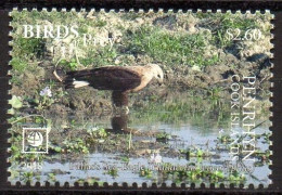 PENRHYN - 1v - MNH -  Pallas's Sea Eagle - Eagle Eagles Aquila Aigle Aigles Adler - Birds - Vögel - Aguilas Aquile - Adler & Greifvögel