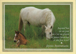 Chevaux : Jument Et Son Poulain / Joyeux Anniversaire (voir Scan Recto/verso) - Chevaux