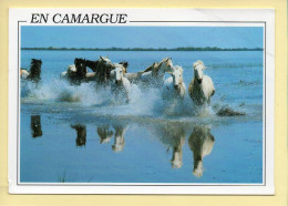 Chevaux : En Camargue (voir Scan Recto/verso) - Chevaux