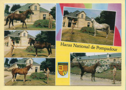 Chevaux : Haras National De Pompadour / Multivues / Blason (voir Scan Recto/verso) - Caballos