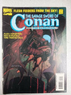 The Savage Sword Of Conan: The Barbarian N.223 - Jul 1994 - Altri & Non Classificati