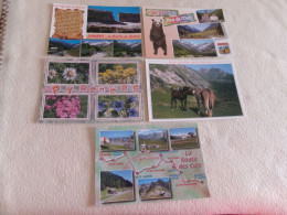 LOT DE 5 CARTES  VARIEES DES PYRENEES..OURS..GAVARNIE..FLEURS ETC - 5 - 99 Postcards