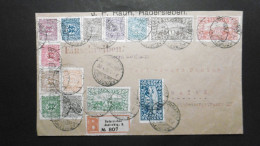 Schleswig Mi. 1/14 R Brief Von Hardersleben(+200%Aufschlag)20.4.1920 Nach Mainz(AK Stempel 22.4.20)+Vignette - Schleswig