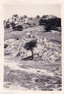 Photo Originale - 38 - Isere  - SAINT EYNARD - La Descente Du Grand Fort - Aout 1933 - Places