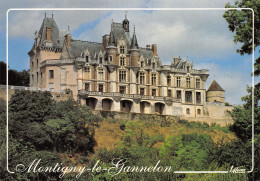 28-MONTIGNY LE GANNELON LE CHATEAU-N° 4404-B/0305 - Altri & Non Classificati