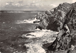 29-LA POINTE DU RAZ-N° 4404-B/0089 - La Pointe Du Raz