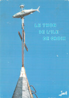 56-ILE DE GROIX-N° 4405-A/0019 - Autres & Non Classés