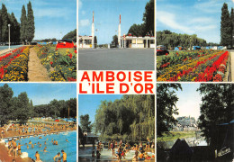 37-AMBOISE-N° 4404-D/0389 - Amboise