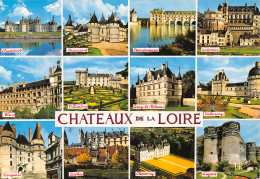 37-CHATEAUX DE LA LOIRE-N° 4404-D/0147 - Andere & Zonder Classificatie