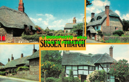 R520240 Sussex Thatch. Precision. Colourmaster International. PLX3145. Multi Vie - Welt