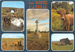 12-LES MONTS D AUBRAC-N° 4405-D/0265 - Autres & Non Classés