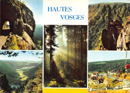 88-LES HAUTES VOSGES-N° 4406-D/0033 - Autres & Non Classés