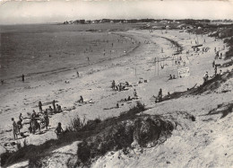 56-LA TRINITE SUR MER-N° 4407-B/0367 - La Trinite Sur Mer