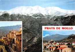 66-PRATS DE MOLLO LA PESTE-N° 4407-B/0247 - Autres & Non Classés