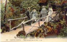 CPA - CHATEL-GUYON - PONT RUSTIQUE DANS LE PARC (RARE CARTE AVEZC BELLE ANIMATION) - Châtel-Guyon