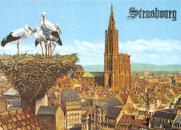 67-STRASBOURG-N° 4408-A/0277 - Strasbourg