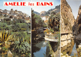 66-AMELIE LES BAINS-N° 4407-D/0369 - Autres & Non Classés