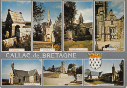 22-CALLAC DE BRETAGNE-N° 4407-D/0311 - Callac