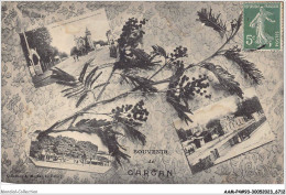 AAMP4-93-0357 -souvenir De GARGAN - Livry Gargan
