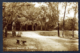 Oosterbeek. Bosgezicht De Bilderberg. Hôtel De Bilderberg Près De Arnhem, Région De Veluwe. 1956 - Oosterbeek