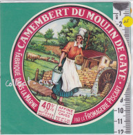 C1183 FROMAGE  CAMEMBERT MOULIN A EAU  DE GAYE PISCART MARNE 40 % VARIANTE  - Fromage