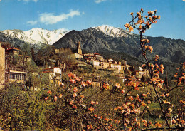 66-VERNET LES BAINS-N° 4408-D/0239 - Autres & Non Classés