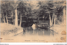 AASP6-0507 - BLENEAU - Le Chateau - La Cascade - Bleneau