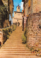 81-CORDES-N° 4409-C/0039 - Cordes