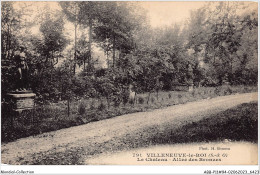 ABBP11-94-0980 - VILLEUNE-LE-ROI - Le Chateau - Allée Des Bronzes - Villeneuve Le Roi