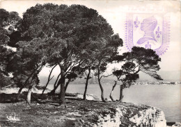 06-CANNES-N° 4409-D/0259 - Cannes