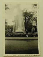 Germany-In The ZOO-1956.-Pogade Photo-Bin.-NEUKÖLLN - Plaatsen