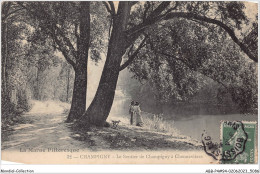 ABBP4-94-0311 - CHAMPIGNY-SUR-MARNE - Le Sentier De CHAMPIGNY A  CHENNEVIERES  - Champigny Sur Marne