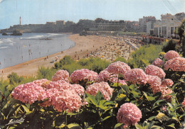 64-BIARRITZ-N° 4410-D/0127 - Biarritz