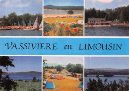 87-VASSIVIERE EN LIMOUSIN-N° 4410-D/0109 - Autres & Non Classés