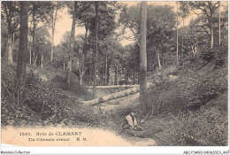 ABCP3-92-0200 - Bois De CLAMART - Un Chemin Creux - Clamart